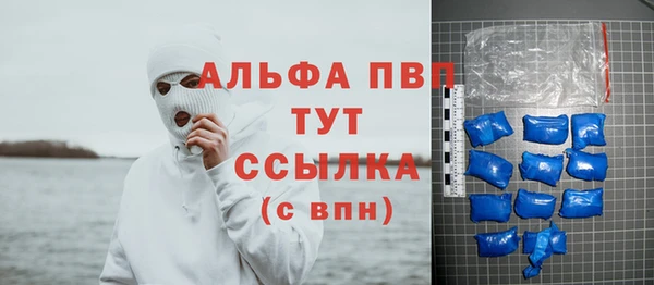 сатива Белокуриха