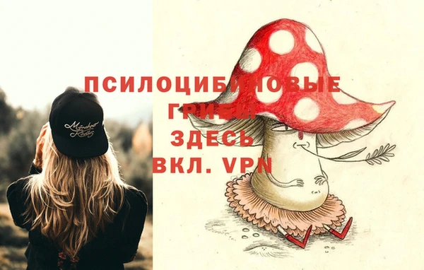сатива Белокуриха