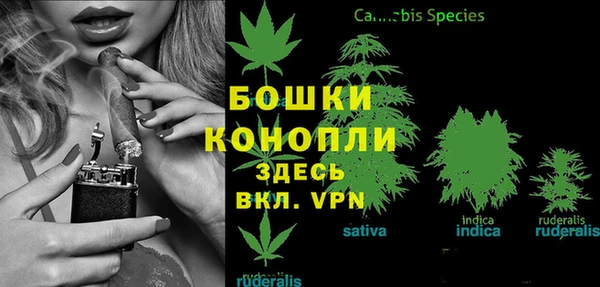 сатива Белокуриха