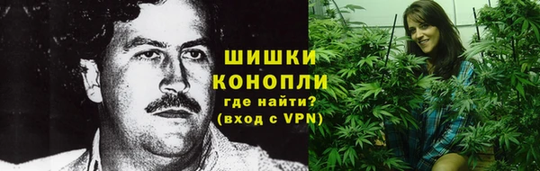 сатива Белокуриха